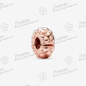 Pandora Studded Clip Charm